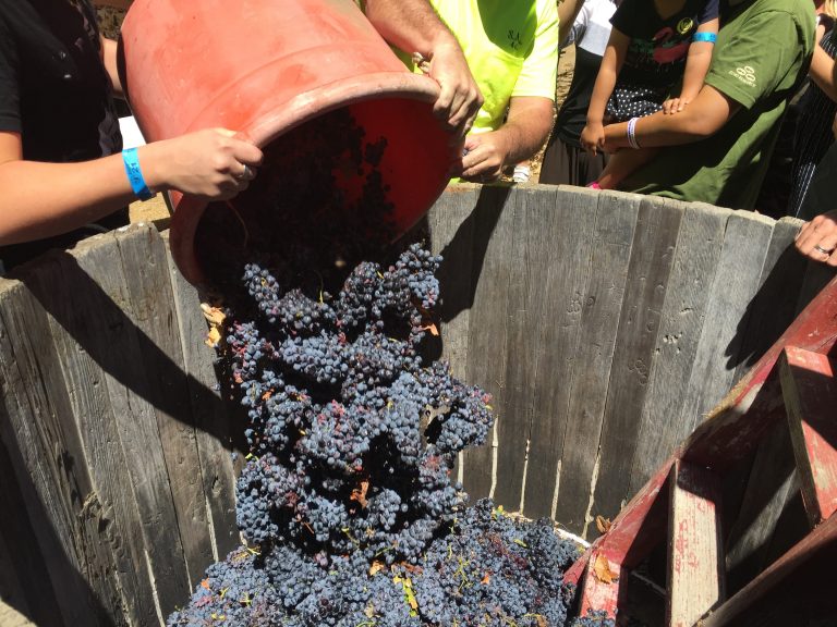 Grape Stompin’ and Apple Picking in Julian, California