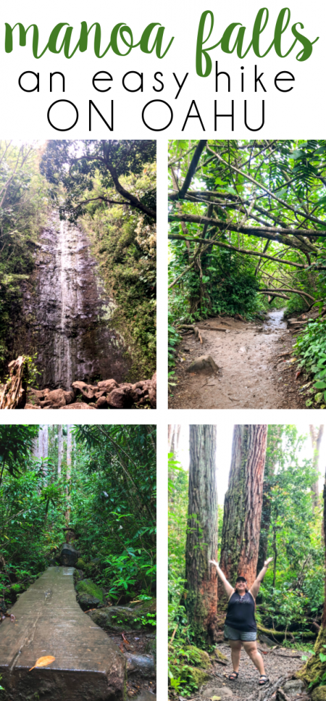 Looking for an easy hike on Oahu that's close to all the things? Look no further than Manoa Falls—perfect for a quick and beautiful hike!