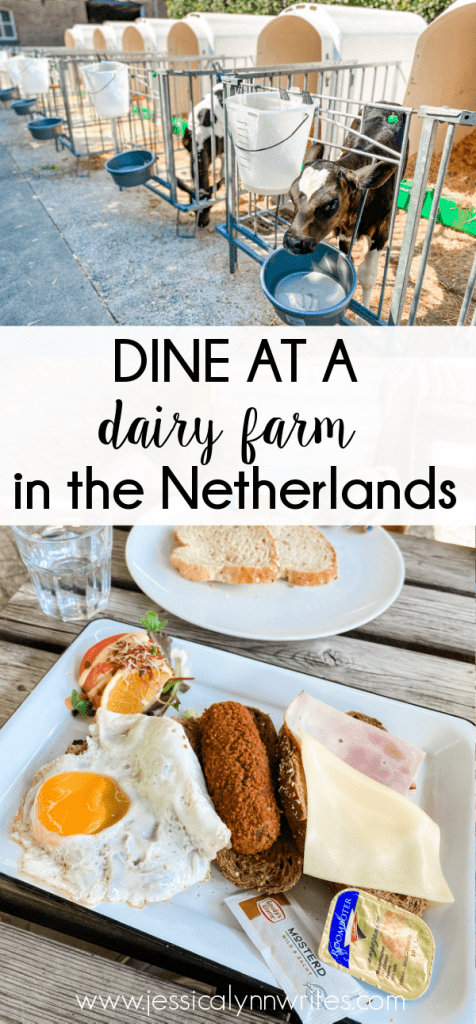 Dine with some cows at this fun, kid-friendly restaurant in the Netherlands. Good food, a playground, and you learn a thing or two about cows.