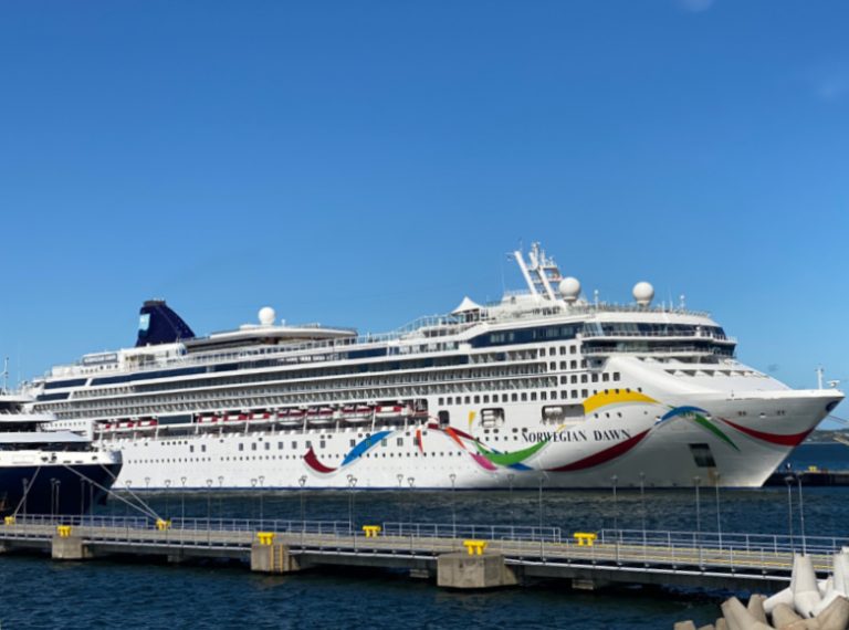Our (Negative) Experience on a Norwegian Cruise