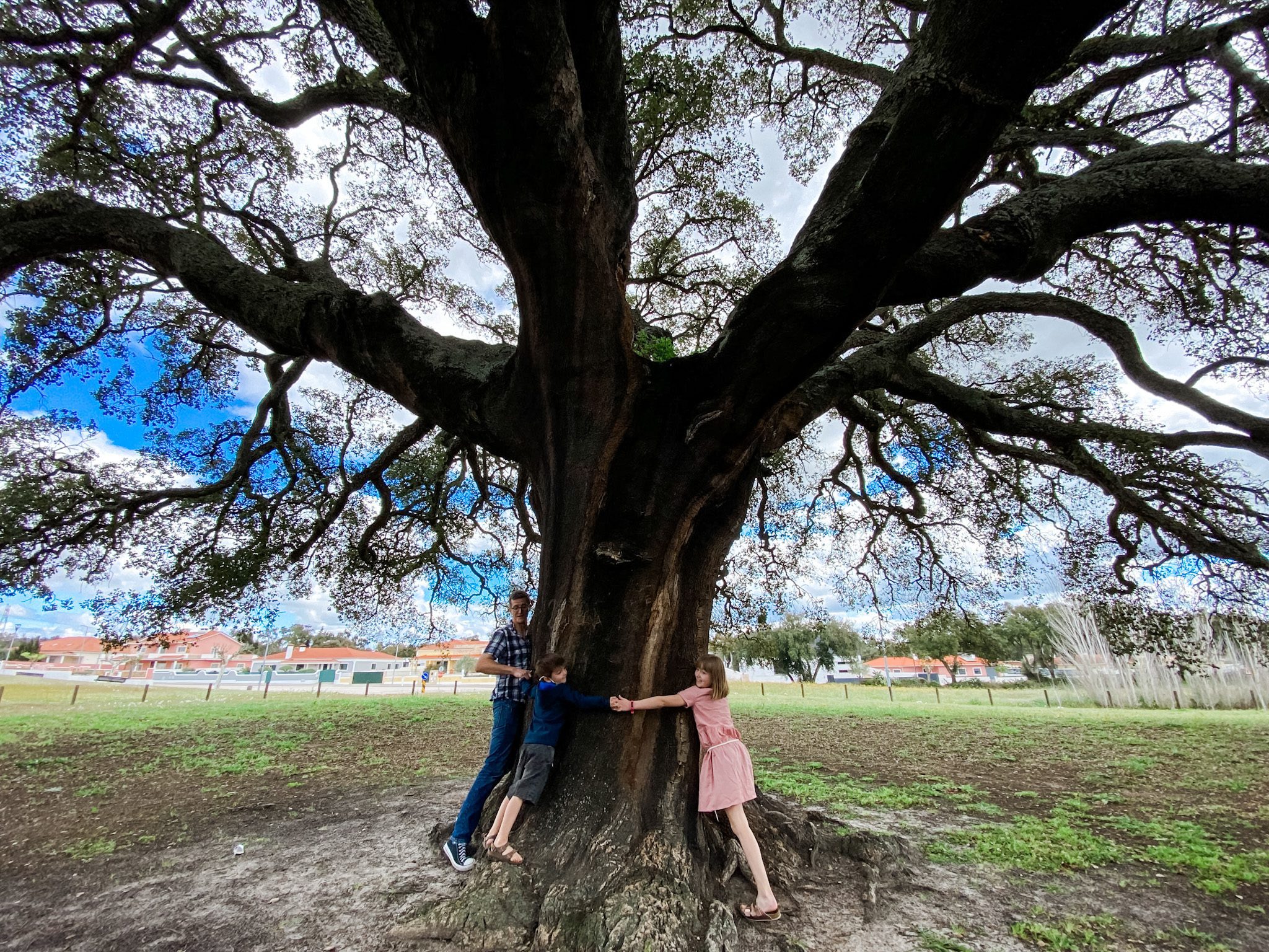 Hugging the oldest cork tree in the world.