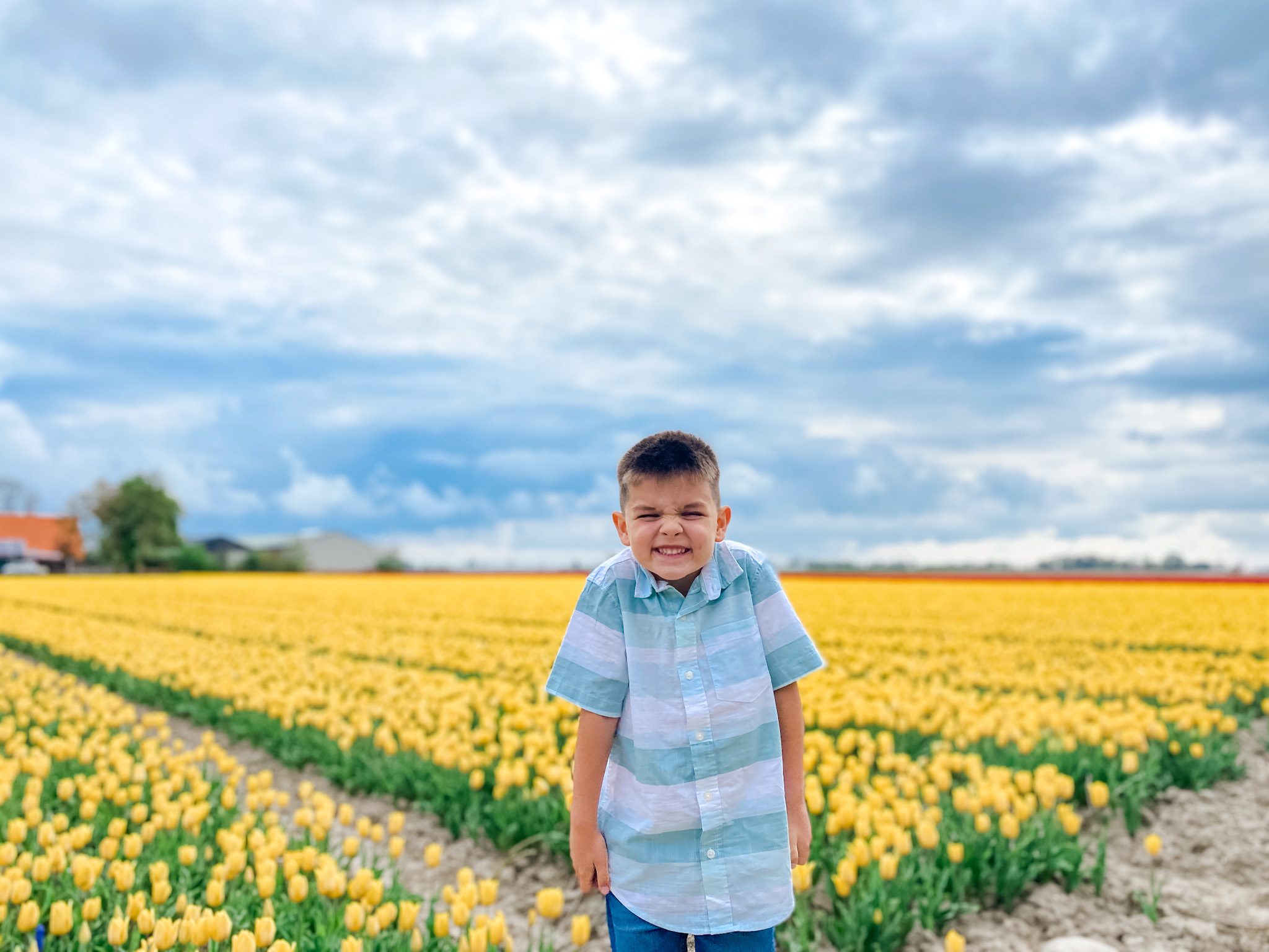 boy standing in front of a tulip field in the Netherlands
