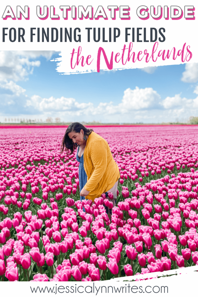 This is it! This is the best guide for finding the most amazing tulip fields in the Netherlands. Plus extra tips for your trip. 